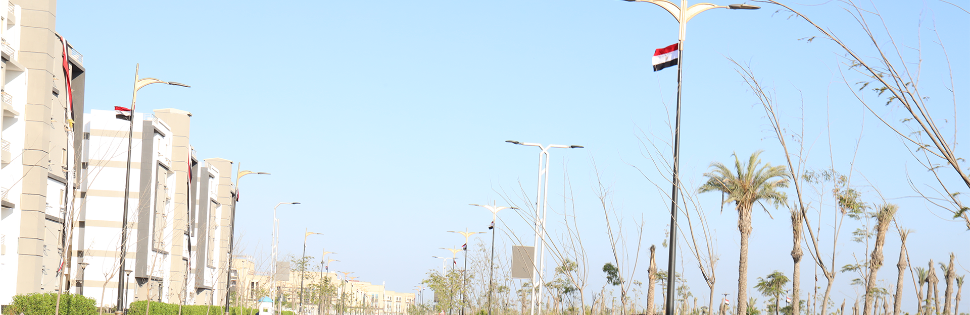 New Mansoura